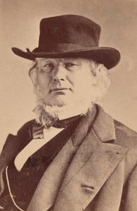 ホレス・グリーリーの肖像、1811～1872年、1869年。 作： Napoleon Sarony