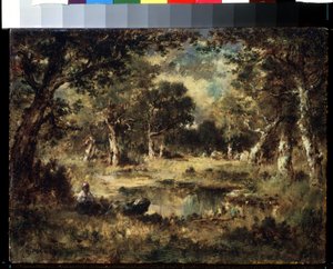 「森の風景」（森の沼地） ナルシス・ヴァージレ・ディアス・デ・ラ・ペーニャ（1807-1876）作 1870年 プーシキン美術館、モスクワ 作： Narcisse Virgile Diaz de la Peña