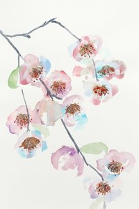 可憐なピンクの花