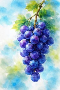 紫のブドウの水彩画