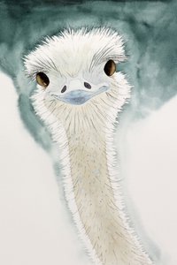 アフリカの陽気なダチョウ 作： 