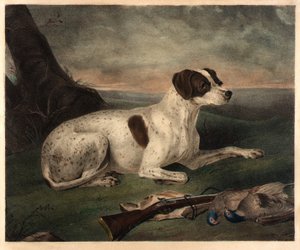 ジュノー 作： Nathaniel Currier