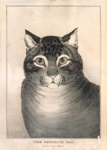 お気に入りの猫, 1838-46., 1838-46. 作： Nathaniel Currier