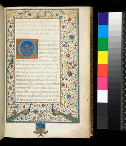 Ms 336.サルスト、カティリナとジュグルタ」f.1r.孔雀、ウサギ、緑色のインコ、鳩が描かれたフルイルミネーションのボーダー 作： Neapolitan School