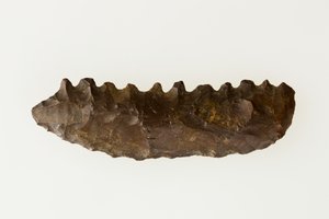 二刀流の鎌、紀元前4500～4000年頃（フリント 作： Neolithic Neolithic