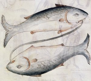 Sloane 3983 Jafar ibn Muhammad (vellum) によるペルシャの占星術論文の翻訳からの魚座の描画 作： Netherlandish School
