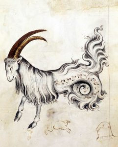 Sloane 3983, f.3v 黄道十二宮 山羊座 (羊皮紙)