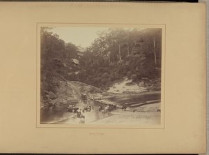 アッパー・ネピアン 作： New South Wales Government Printing Office
