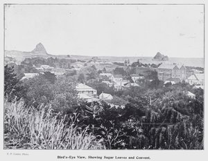 ニュージーランドのニュープリマス。鳥瞰図、Shewing Sugar LoavesとConvent（モノクロ写真 作： New Zealand Photographer