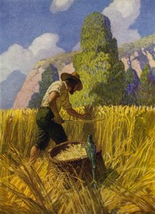 ロビンソン・クルーソー」のイラスト（カラーリトグラフ 作： Newell Convers (after) Wyeth