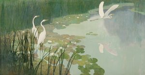 夏のサギ、1941