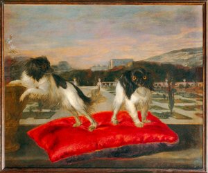 イタリアの庭のテラスに2匹の小型犬 - イタリアの庭のテラスに2匹の小型犬 ... 作： ニカシウス (1620-78) ベルナールツ