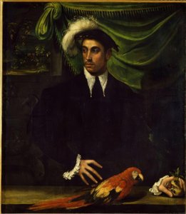 オウムと若い男の肖像 作： Niccolò dell Abbate