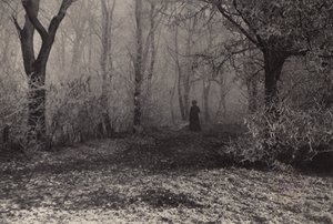 ウィーンの森にて（モノクロ写真） 作： Nichol Elliot