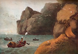 「ツノメドリの射撃」、c1806
