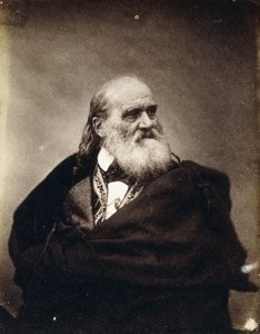 1851年11月4日、ルイスコシュート、1851年 作： Nicolaas Henneman