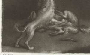 2 つの遊ぶ犬 作： Nicolaas Verkolje