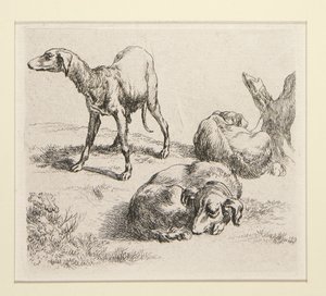さまざまな動物のセットからの 2 枚のエッチング、木の下の男、いわゆる男 作： Nicolaes Berchem