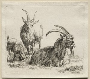 動物界: 三匹のヤギ 作： Nicolaes Berchem