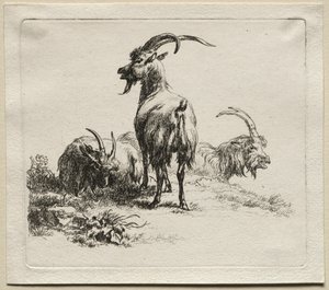動物界: 三匹のヤギ 作： Nicolaes Berchem