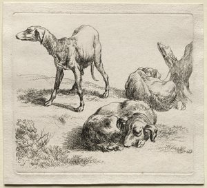 Animalia: 三匹の猟犬 作： Nicolaes Berchem