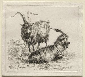 動物界: 二匹のヤギ 作： Nicolaes Berchem