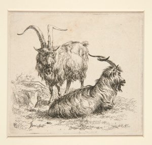 ヤギ（から 作： Nicolaes Berchem