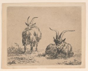 二匹のヤギ 作： Nicolaes Berchem