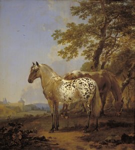 風景の中の 2 頭の馬 作： Nicolaes Berchem