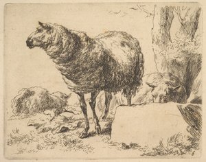 羊のセットから。 作： Nicolaes Berchem