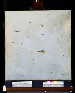 ドールハウス 天井画 曇り空の鳥たち 作： Nicolaes Piemont (attributed to)