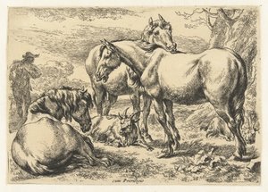 三頭の馬 動物（シリーズタイトル） 作： Nicolaes Pietersz Berchem