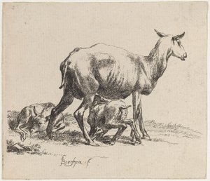 彼女の子羊を看護する雌羊 作： Nicolaes Pietersz Berchem