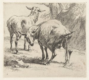 Pissende ooi en een schaap シャーペン（シリーズタイトル） ニコライ・ベルヘムのスタジオとアート（シリーズタイトル）によって、強い空気で水中に生き生きと描かれた動物が印刷されました 作： Nicolaes Pietersz Berchem