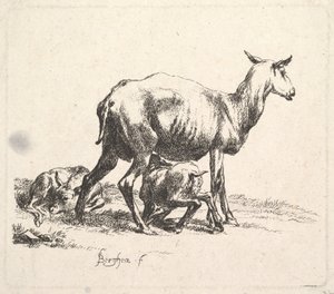 羊と子羊の授乳。 作： Nicolaes Pietersz. Berchem