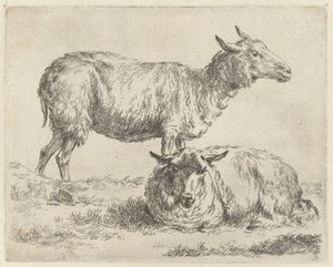 Staand en liggend schaap シャーペン（シリーズタイトル） ニコライ・ベルヘムのスタジオとアート（シリーズタイトル）によって、強い空気で水中に生き生きと描かれた動物が印刷されました 作： Nicolaes Pietersz Berchem