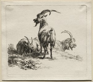 三山羊。 作： Nicolaes Pietersz. Berchem