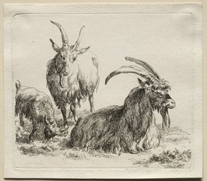 三山羊。 作： Nicolaes Pietersz. Berchem