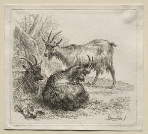三山羊。 作： Nicolaes Pietersz. Berchem