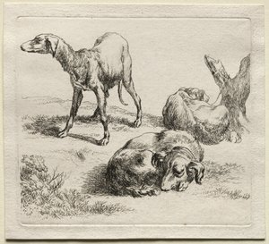3つの狩猟犬。 作： Nicolaes Pietersz. Berchem