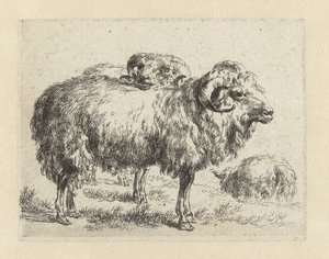 Twee rammen en een schaap シャーペン（シリーズタイトル） ニコライ・ベルヘムのスタジオとアートによる生き生きとした動物と水でプリントされた強い空気感 (シリーズ タイトル)