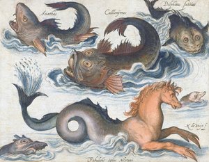 タツノオトシゴと架空の水生生物