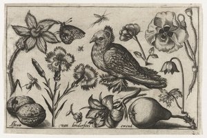 花と梨と鳩 鳥・花・虫など（連載タイトル）