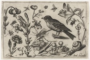 花、カタツムリ、鳥 鳥・花・虫など（連載タイトル）