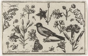 花と蝶と鳥 鳥・花・虫など（連載タイトル） 作： Nicolaes de Bruyn (possibly)