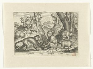 サル、ネコ、ネズミ Animalivm qvadrvpedvm (シリーズタイトル) 風景の中の動物（シリーズタイトル） 作： Nicolaes de Bruyn