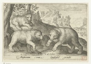 3 つのクマ Animalivm qvadrvpedvm (シリーズタイトル) 風景の中の動物（シリーズタイトル） 作： Nicolaes de Bruyn