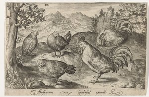 3 羽の鶏と 2 羽の雄鶏 鳥と虫（連載タイトル） 作： Nicolaes de Bruyn