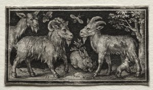 ヤギとノウサギ 作： Nicolaes de Bruyn
