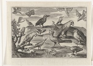 ヤツガシラと他の鳥 鳥と虫（連載タイトル） 作： Nicolaes de Bruyn